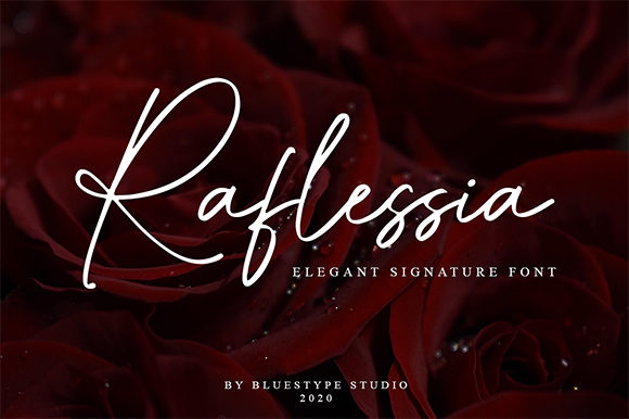 Raflessia: The Font That Elevates Your Brand